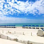 Pelican Walk 512
